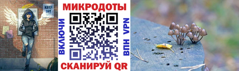 Галлюциногенные грибы Magic Shrooms продажа наркотиков Разумное
